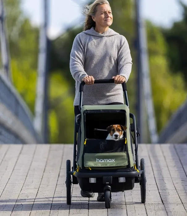 HAMAX Pluto M - przyczepka rowerowa dla psa do 35 kg | Green/Black