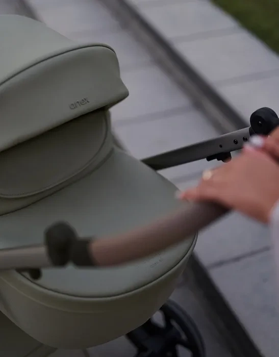 ANEX Eli - wózek wielofunkcyjny, zestaw 2w1 | Excite