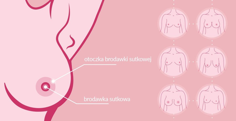 NENO lejek 24 - nakładka do laktatora M | 24 mm