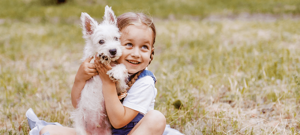 BABYSAFE Westie - obrotowy multimedialny fotelik samochodowy RWF FWF 0-18 kg | Grey-Black