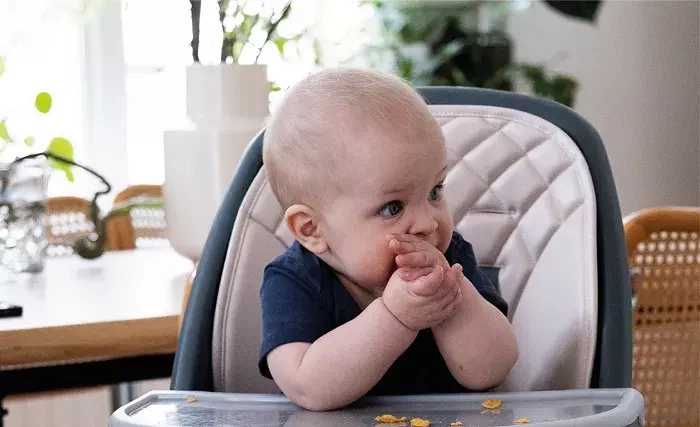 MUUVO Choc 2 - krzesełko do karmienia 3w1 | Mint