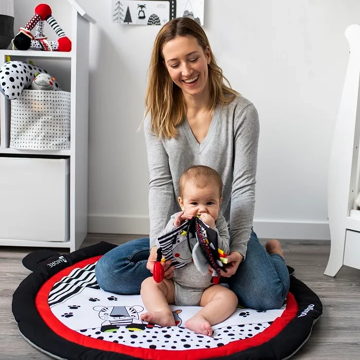 BABYONO C: More - książeczka sensoryczna | Dream Team