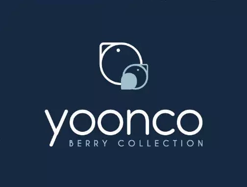 YOONCO - dwustronna wkładka do wózka | Berry