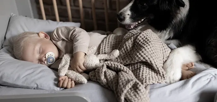 LOVI - smoczek silikonowy dynamiczny NIGHT&DAY GIRL 2 szt. | 6-18 m