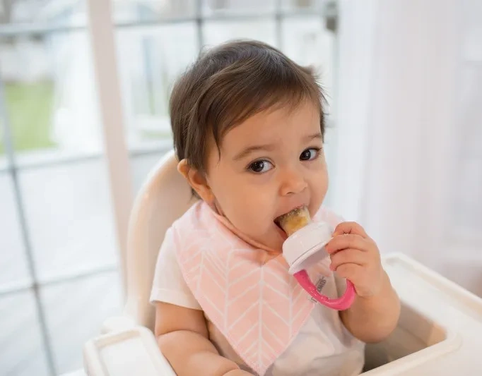 DR BROWN'S - silikonowy gryzak do podawania pokarmu | Różowy