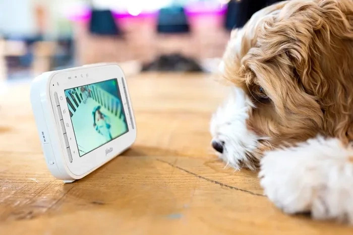 ALECTO DVM200MGS - niania elektroniczna z ruchomą kamerą i wyświetlaczem