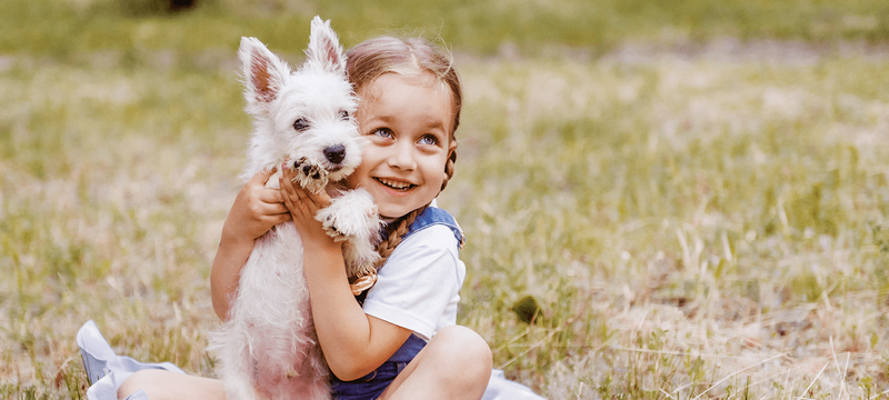 BABYSAFE Westie - obrotowy multimedialny fotelik samochodowy RWF FWF 0-18 kg | Grey-Black