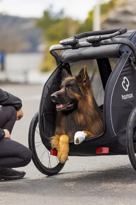 HAMAX Pluto L - przyczepka rowerowa dla psa do 45 kg | Blue/Black