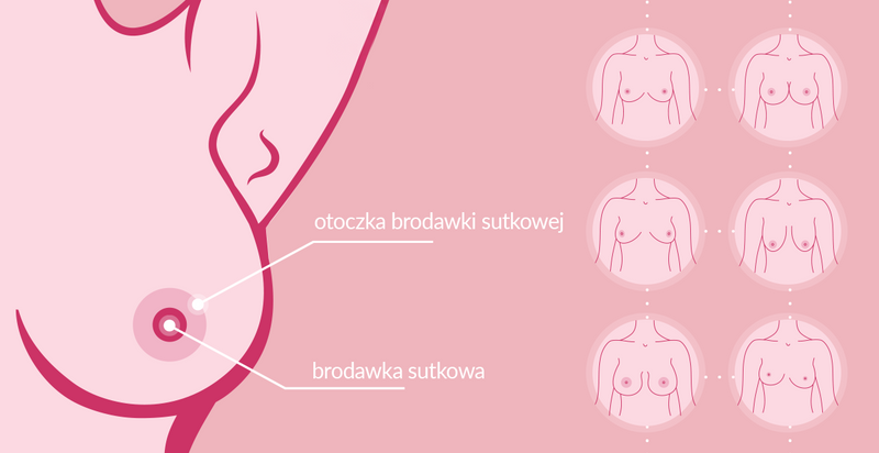 NENO lejek 27 - nakładka do laktatora L | 27 mm