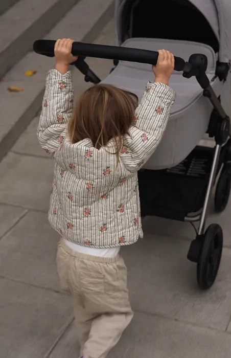 ANEX IQ Premium - wózek wielofunkcyjny, zestaw 3w1 z buggy | Darke