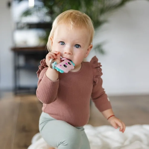 BABYONO - grzechotka z gryzakiem | Owl