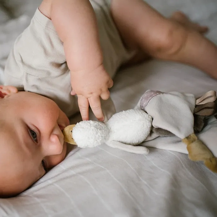 BABYONO Goose Zoe - pluszowa przytulanka/kocyk