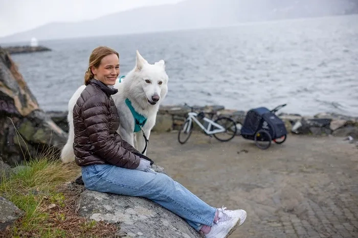 HAMAX Pluto L - przyczepka rowerowa dla psa do 45 kg | Blue/Black