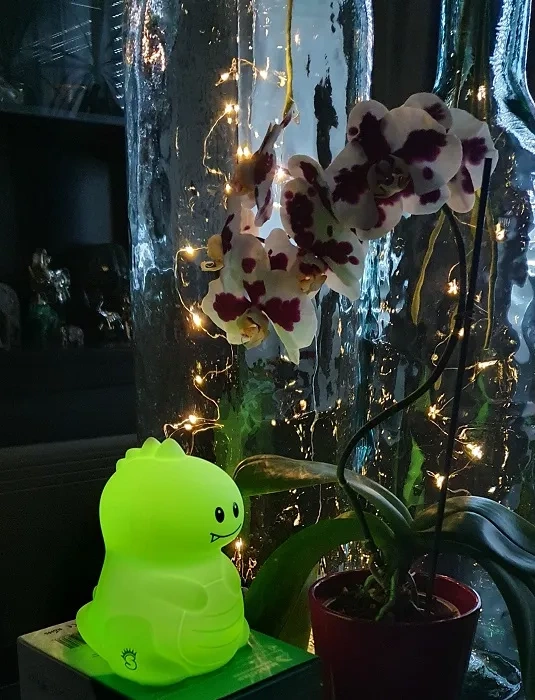 MESMED Świetlaczki - lampka silikonowa z pilotem | Dinozaur Dinuś