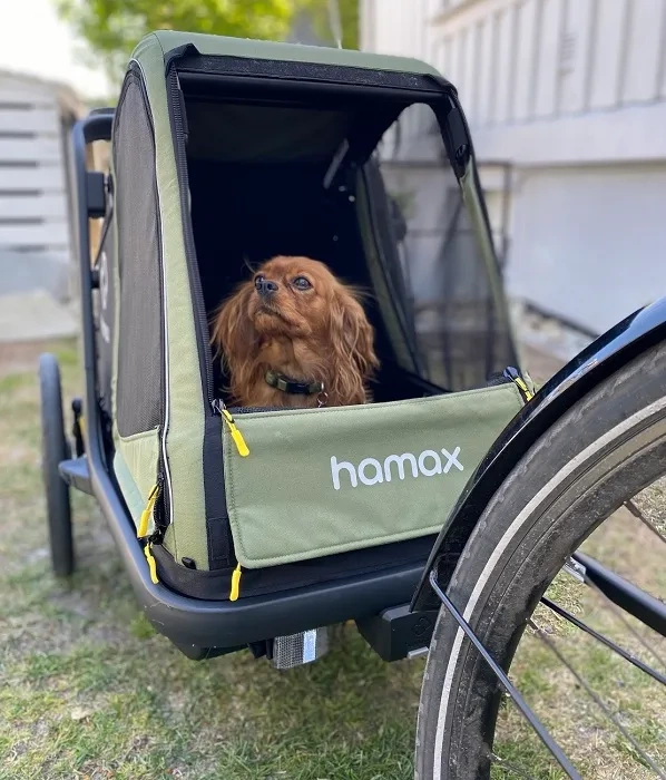 HAMAX Pluto M - przyczepka rowerowa dla psa do 35 kg | Green/Black