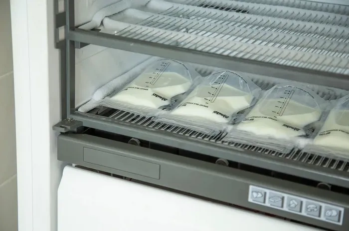 ALECTO BF100 - woreczki do przechowywania pokarmu 100 szt.