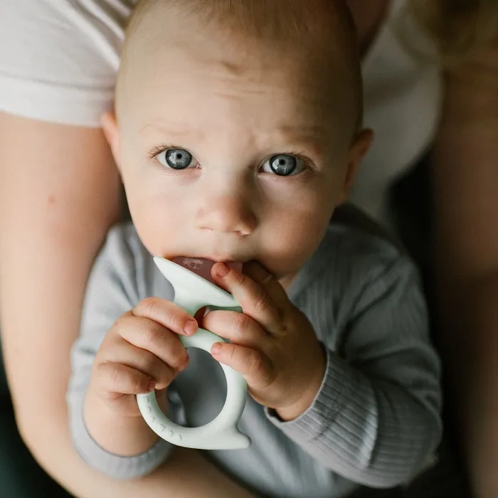 BABYONO - gryzak silikonowy Snail | Różowy