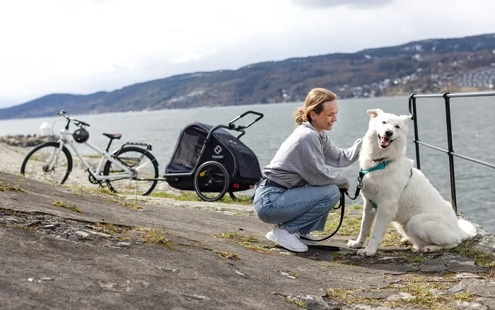 HAMAX Pluto L - przyczepka rowerowa dla psa do 45 kg | Blue/Black