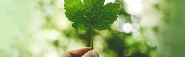 ABC DESIGN Salsa 4 Air - wózek wielofunkcyjny, zestaw 2w1 | PURE EDITION: Berry