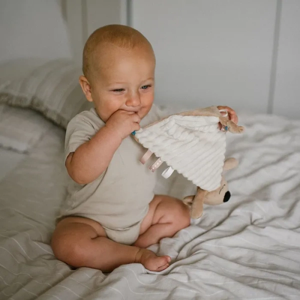 BABYONO Koala Charlie - pluszowa przytulanka/kocyk