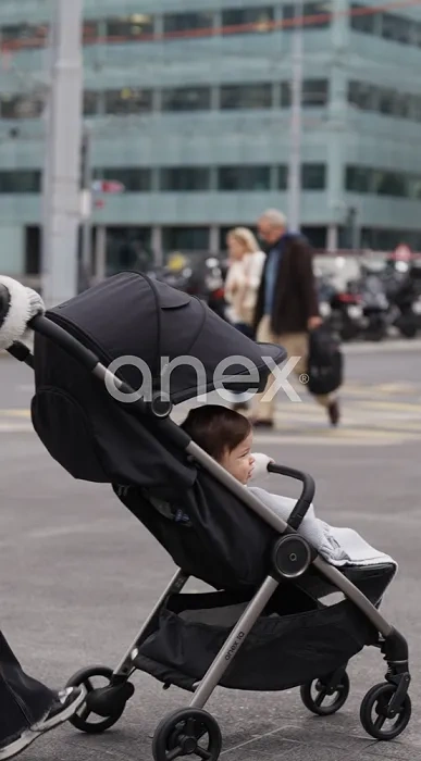 ANEX IQ Premium - wózek wielofunkcyjny, zestaw 3w1 z buggy | Darke