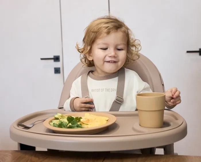 ANEX Ozy - krzesełko do karmienia 3w1 | Shade