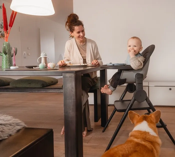 ANEX Ozy - krzesełko do karmienia 3w1 | Shade