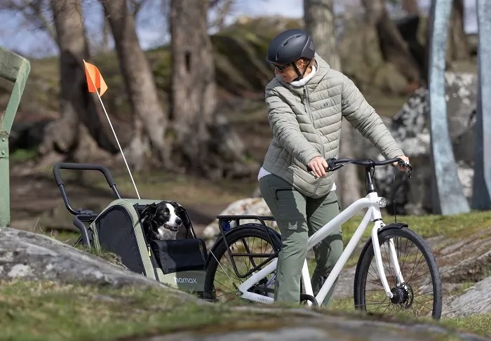 HAMAX Pluto M - przyczepka rowerowa dla psa do 35 kg | Green/Black